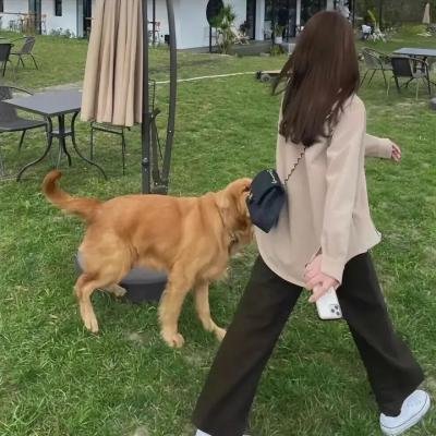保姆大冒险